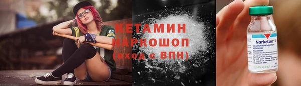 прущие грибы Балахна