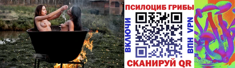 Псилоцибиновые грибы мицелий  Спасск 
